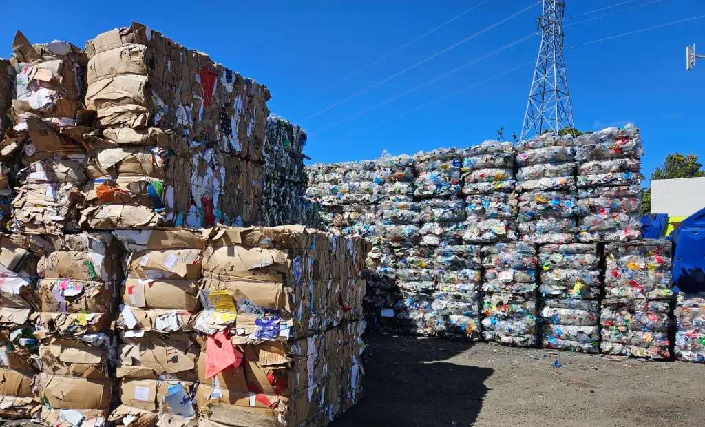 Customers on a Recycling Facility Tour at Rubbish Directs West Auckland Depot
